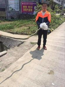 筠连网友爆料最新消息,最新事件详情曝光！